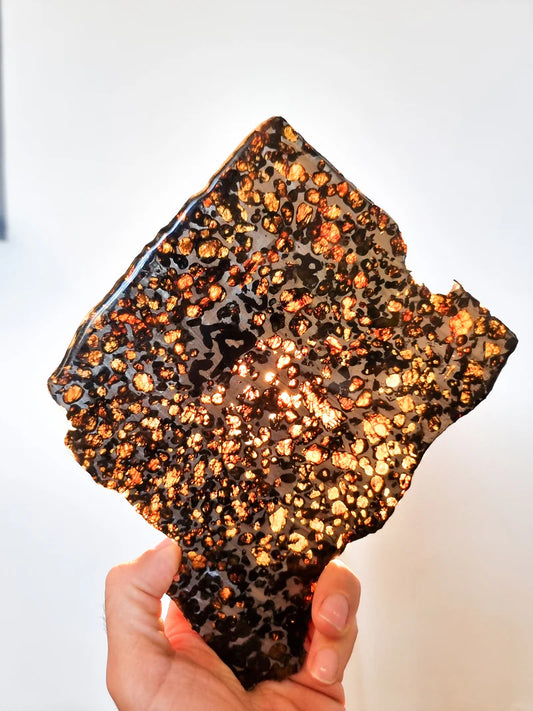 Sericho Pallasite Slice – 284g | Kenya