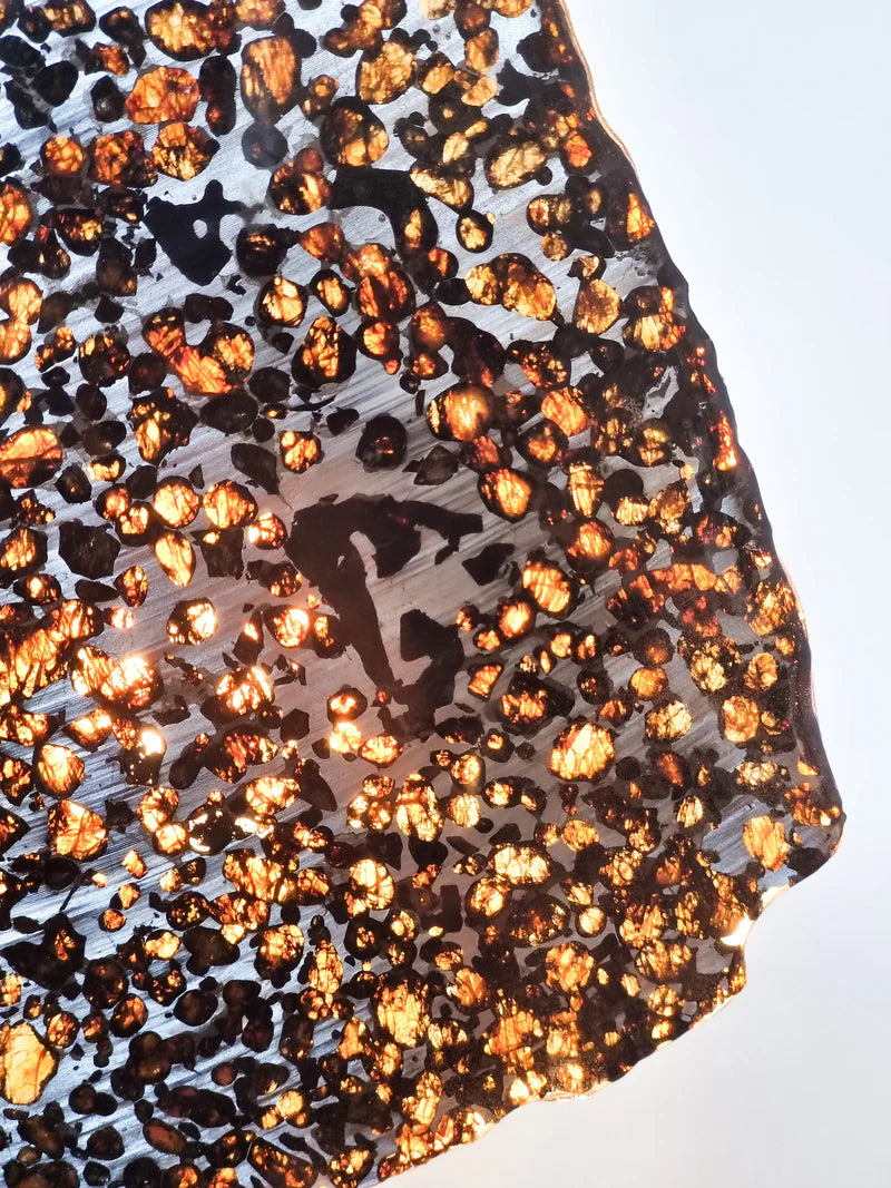 Sericho Pallasite Slice – 284g | Kenya
