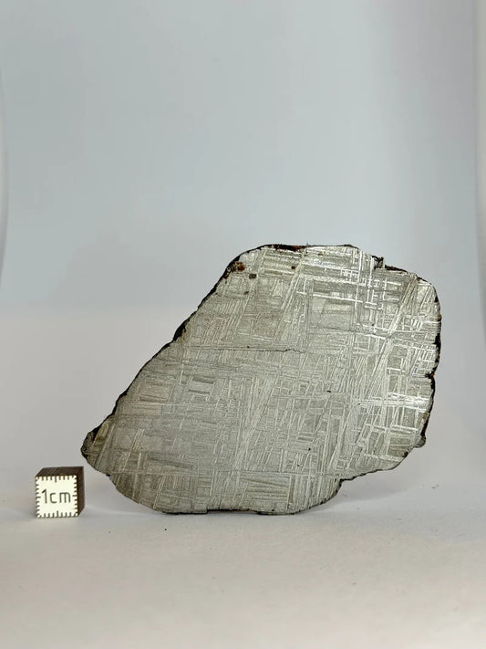 Muonionalusta Meteorite Slice – 93.76g | Sweden