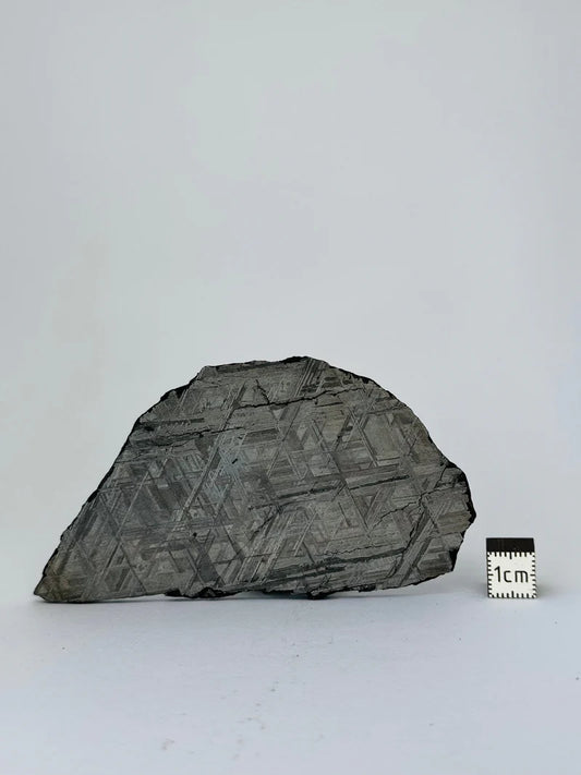 Muonionalusta Meteorite Slice – 88.12g | Sweden