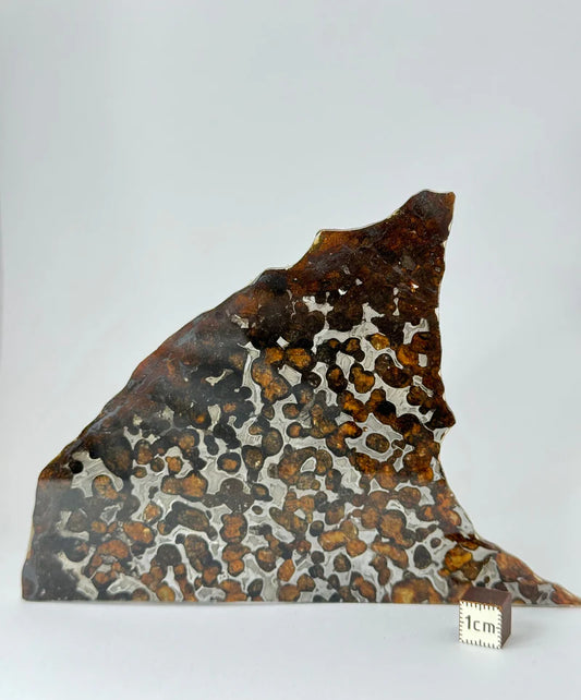 Sericho Meteorite Fragment – 67.42g | Kenya