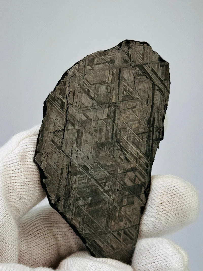 Muonionalusta Meteorite Slice – 88.12g | Sweden