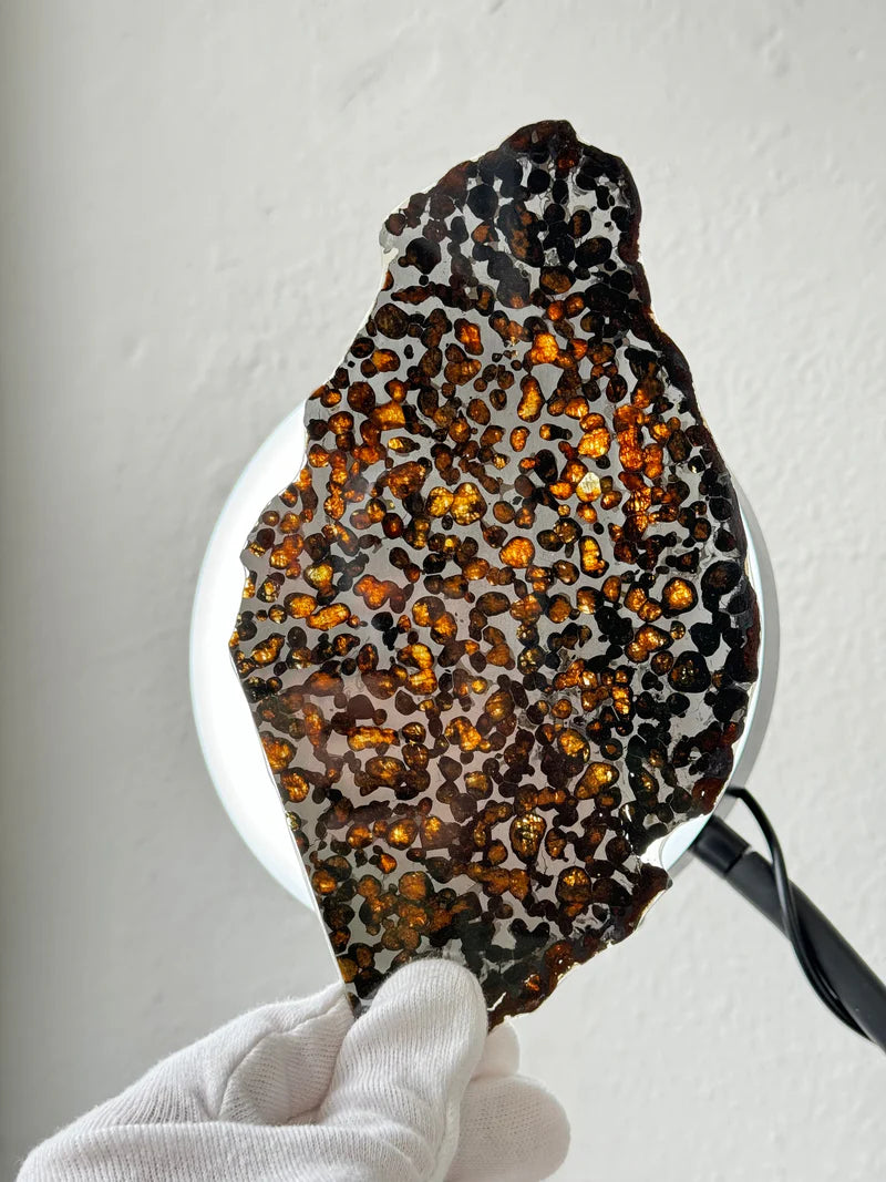 Sericho Meteorite Specimen – 87.90g | Kenya