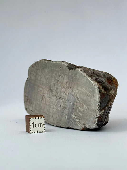 Muonionalusta Meteorite End-Cut – 580g | Sweden