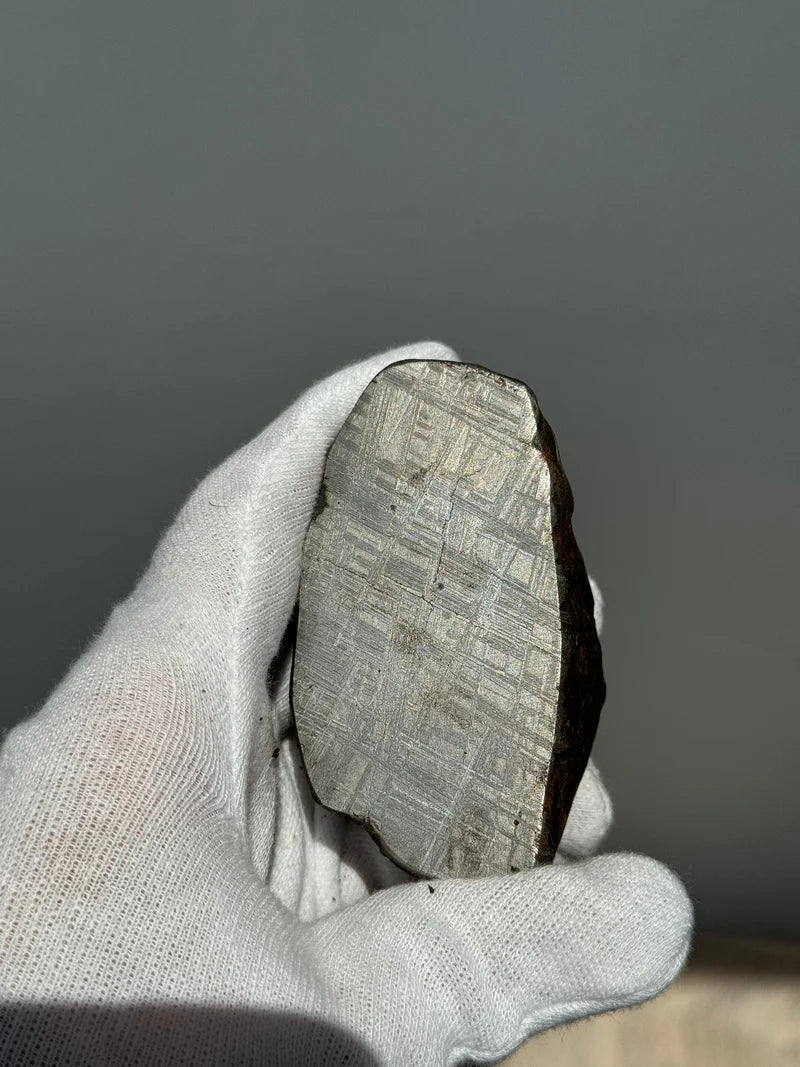 Muonionalusta Meteorite End-Cut – 580g | Sweden