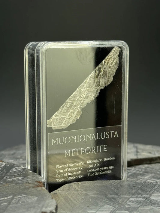Muonionalusta Meteorite – 2g in Display Box | Sweden