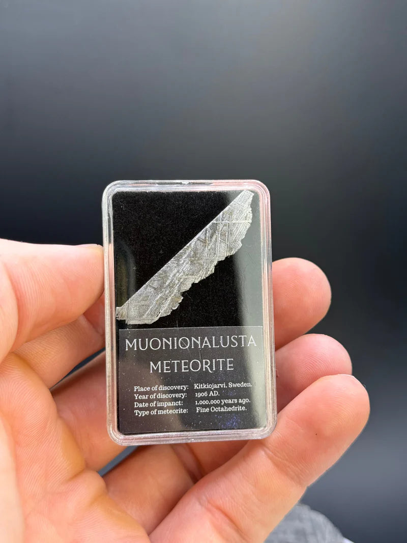 Muonionalusta Meteorite – 2g in Display Box | Sweden