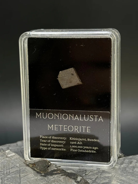 Muonionalusta Meteorite – 1g in Display Box | Sweden