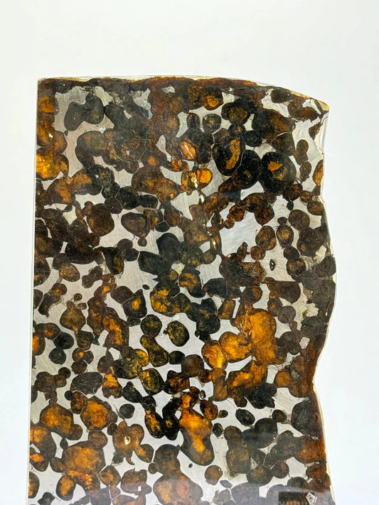 Sericho Meteorite Sample – 59.46g | Kenya