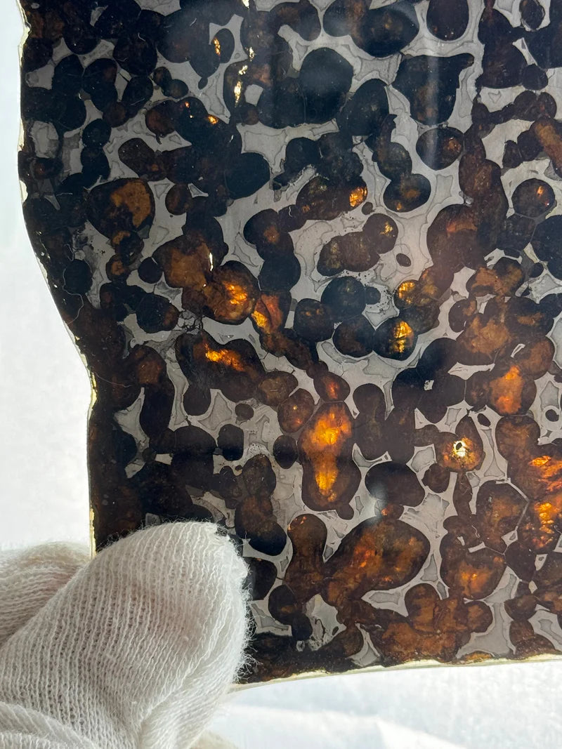 Sericho Meteorite Sample – 59.46g | Kenya