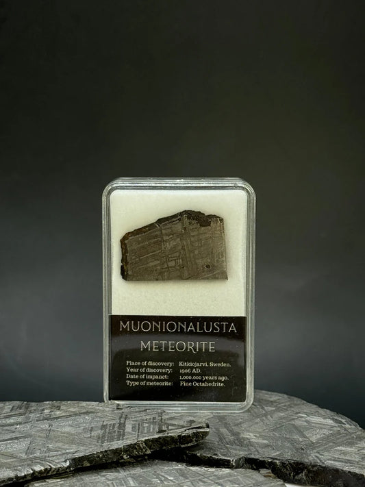 Muonionalusta Meteorite Display – 7.44g Encased Specimen