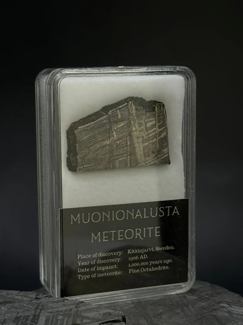 Muonionalusta Meteorite Display – 7.44g Encased Specimen