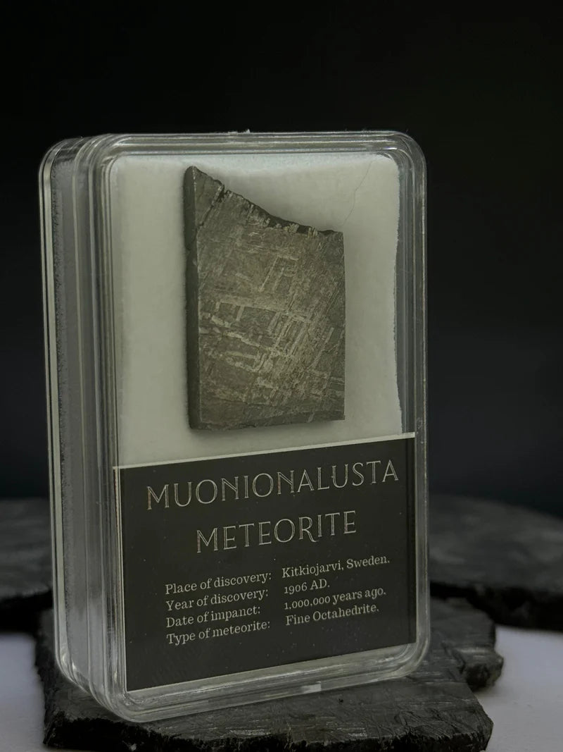 Muonionalusta Meteorite Display – 10.11g Encased Specimen