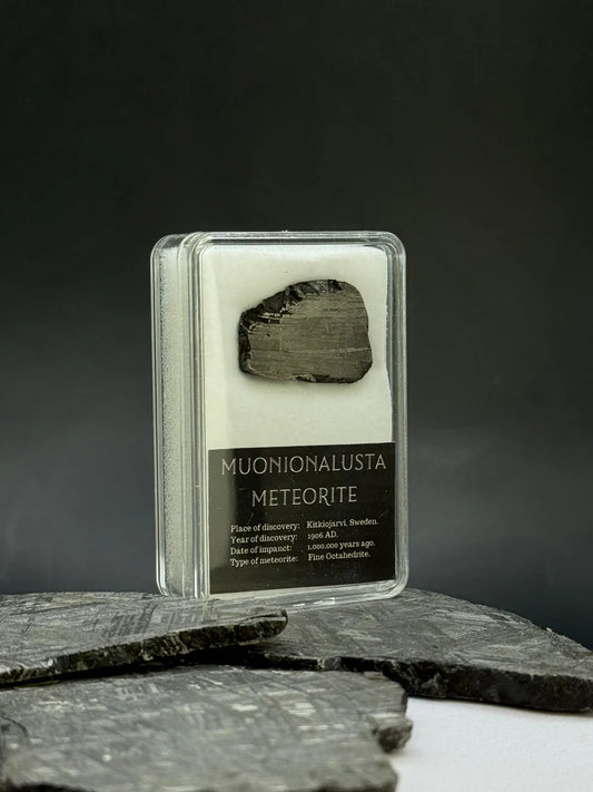 Muonionalusta Meteorite Display – 6.8g Encased Specimen
