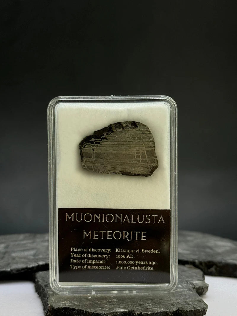 Muonionalusta Meteorite Display – 6.8g Encased Specimen