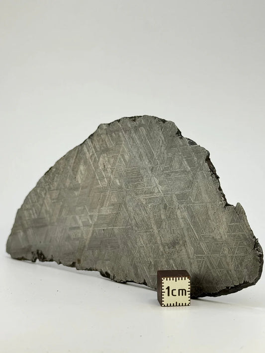 Muonionalusta Meteorite Slice – 143.21g | Sweden