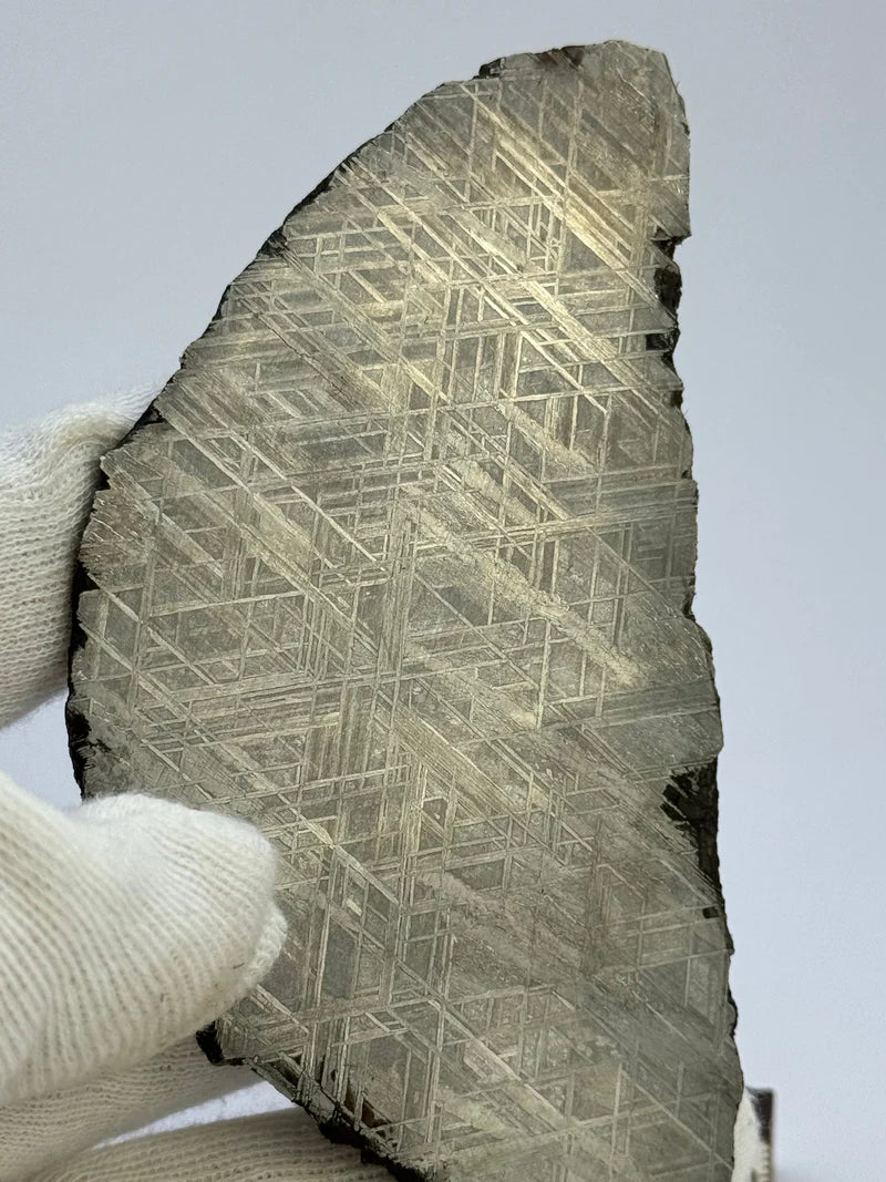 Muonionalusta Meteorite Slice – 143.21g | Sweden