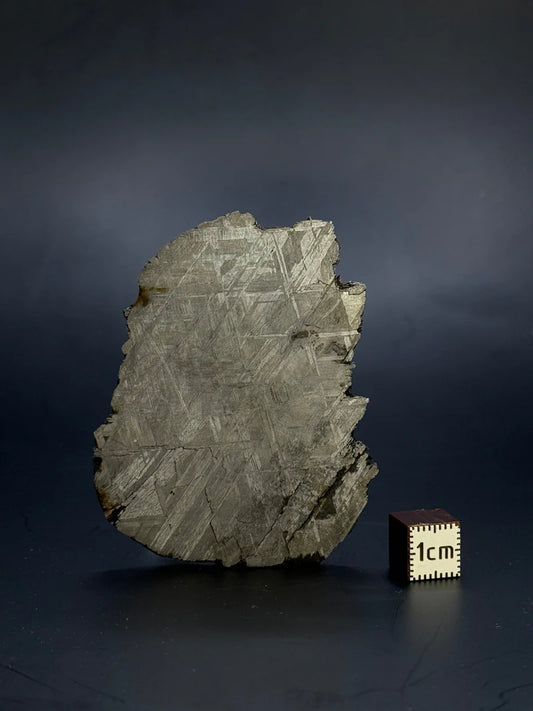 Muonionalusta Meteorite Fragment – 51.92g | Sweden