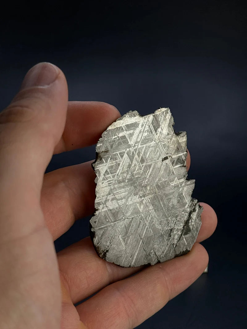 Muonionalusta Meteorite Fragment – 51.92g | Sweden