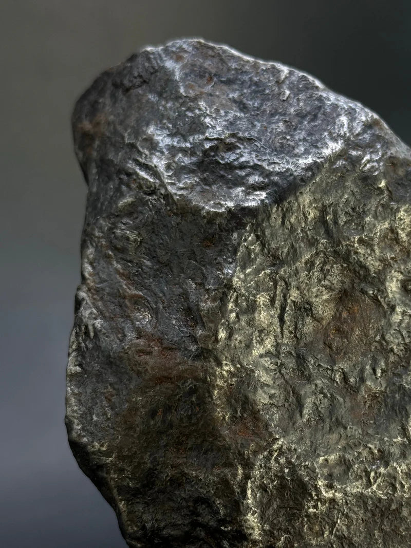 Muonionalusta Whole Meteorite – 1217g | Sweden