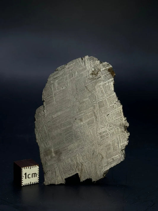 Muonionalusta Meteorite Specimen – 43.40g | Sweden