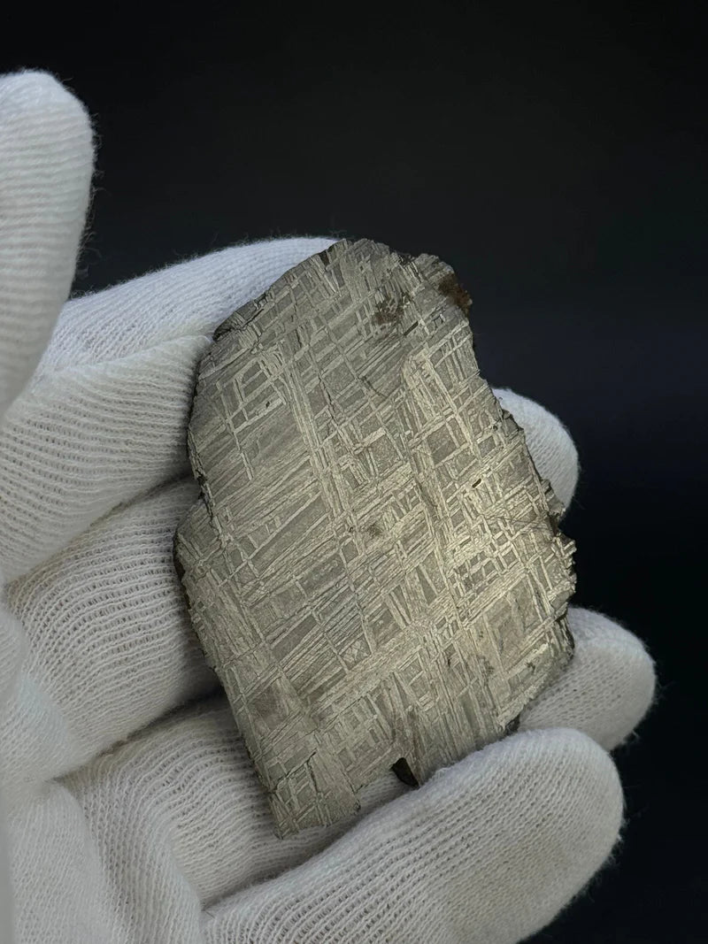 Muonionalusta Meteorite Specimen – 43.40g | Sweden