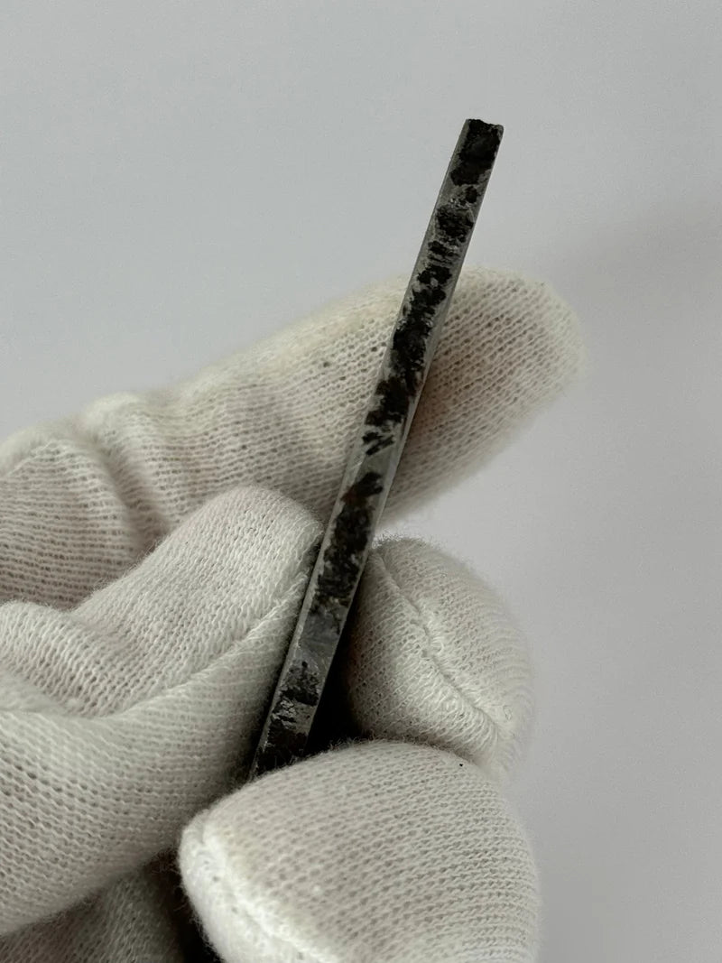 Muonionalusta Meteorite Slice – 69.83g | Sweden