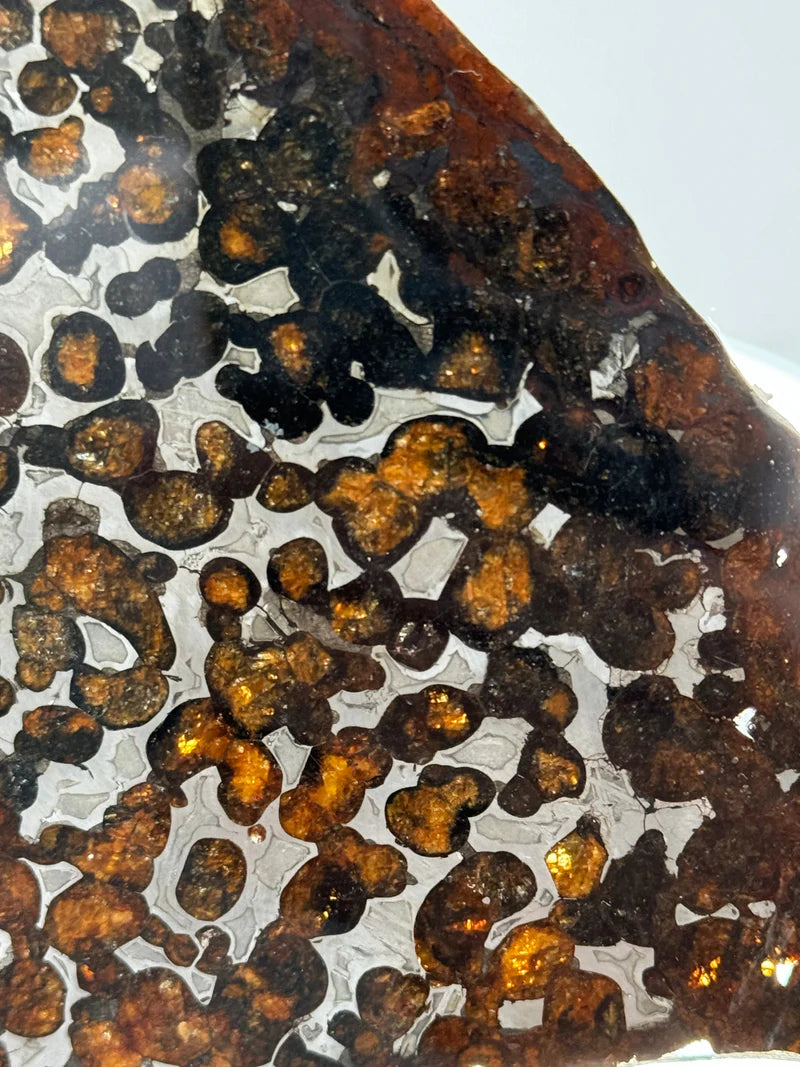 Sericho Meteorite Fragment – 67.42g | Kenya