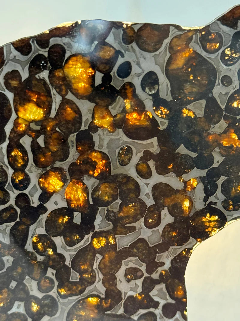 Sericho Meteorite Fragment – 47.66g | Kenya