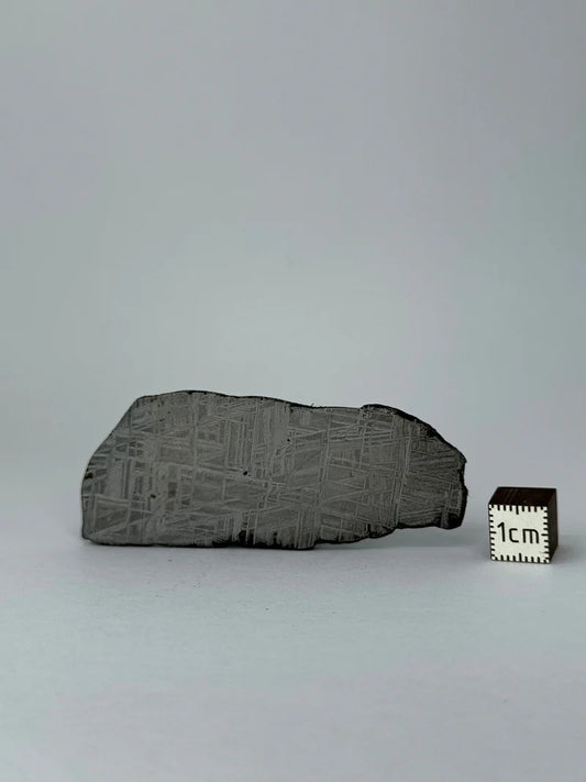 Muonionalusta Meteorite Piece – 32.37g | Sweden