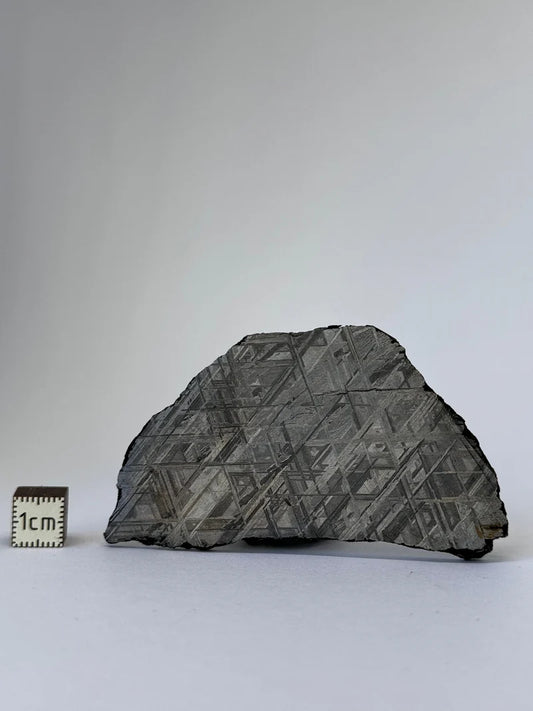 Muonionalusta Meteorite Slice – 65.29g | Sweden