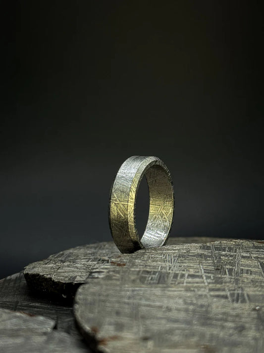 Flat Solid Muonionalusta Meteorite Ring