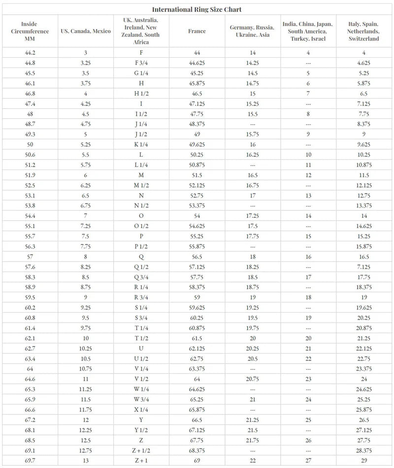 Titanium Accent Ring with Muonionalusta Meteorite