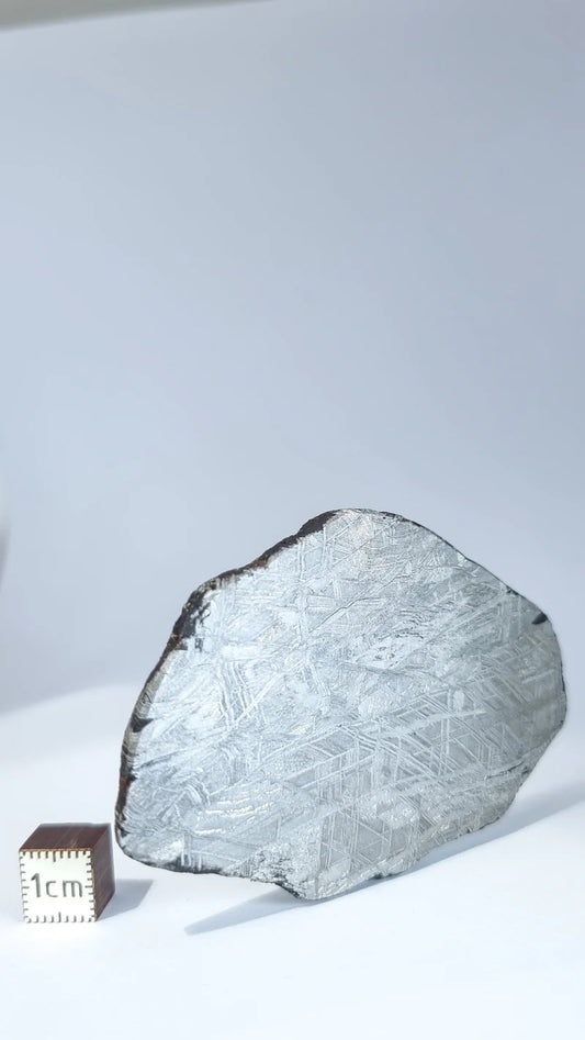 Muonionalusta Meteorite Slice – 76.99g | Sweden