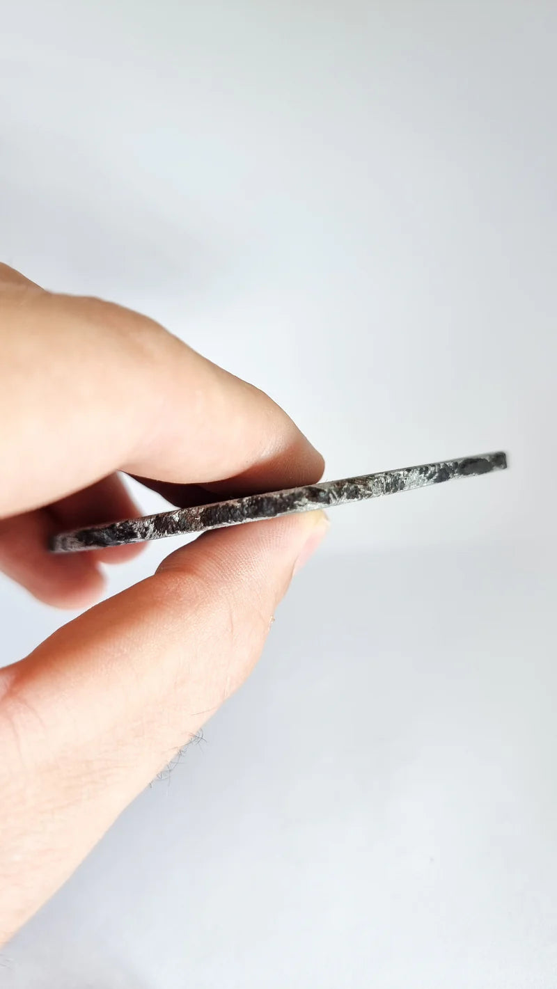 Muonionalusta Meteorite Slice – 76.99g | Sweden