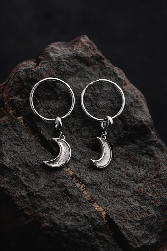 Muonionalusta Meteorite Lunar Earrings