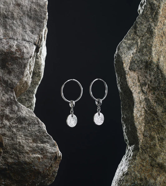 Disc Earrings Featuring Muonionalusta Meteorite