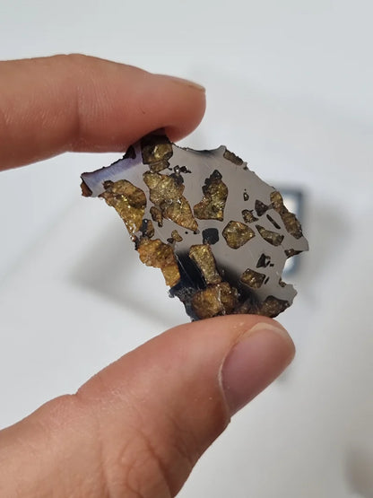 Imilac Pallasite Meteorite End-Cut – 16.08g | Chile