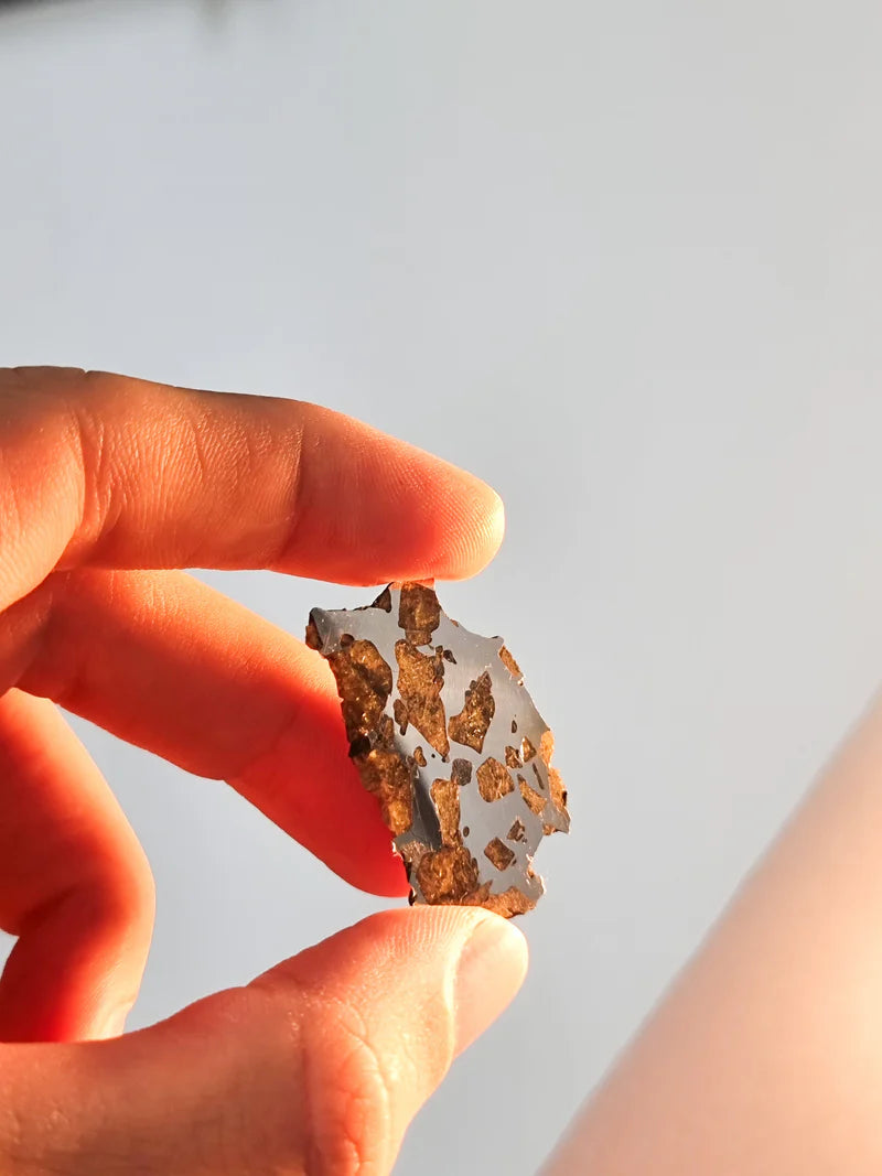 Imilac Pallasite Meteorite End-Cut – 16.08g | Chile