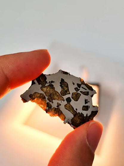 Imilac Pallasite Meteorite End-Cut – 16.08g | Chile