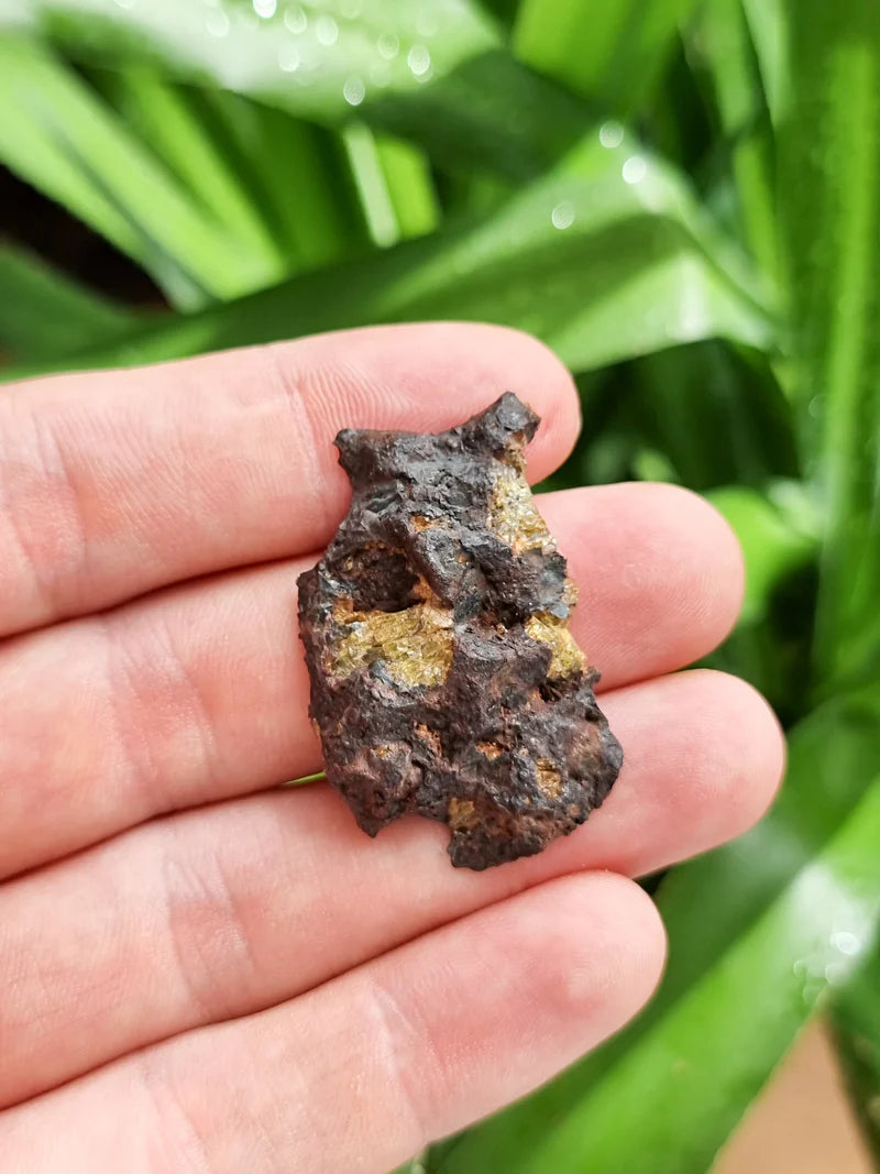 Imilac Pallasite Meteorite End-Cut – 16.08g | Chile