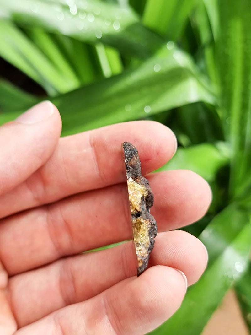 Imilac Pallasite Meteorite End-Cut – 16.08g | Chile