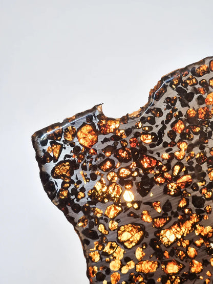 Sericho Pallasite Slice – 284g | Kenya