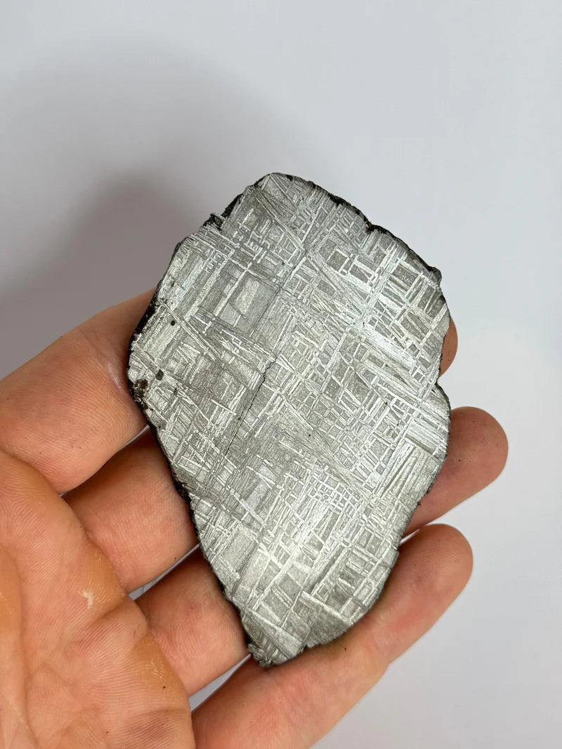 Muonionalusta Meteorite Slice – 93.76g | Sweden