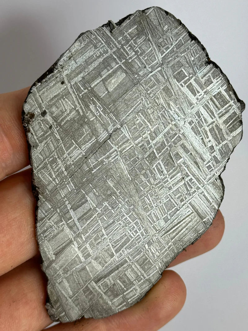 Muonionalusta Meteorite Slice – 93.76g | Sweden