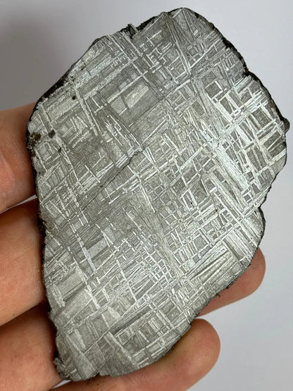 Muonionalusta Meteorite Slice – 93.76g | Sweden