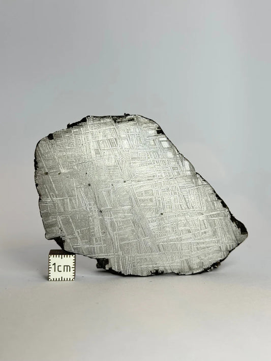 Muonionalusta Meteorite Slice – 93.76g | Sweden