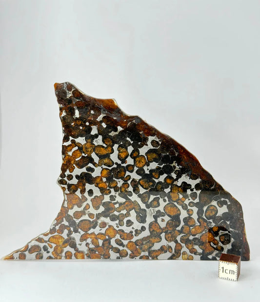 Sericho Meteorite Fragment – 67.42g | Kenya