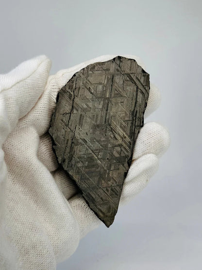 Muonionalusta Meteorite Slice – 88.12g | Sweden