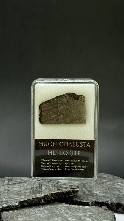 Muonionalusta Meteorite Display – 7.44g Encased Specimen